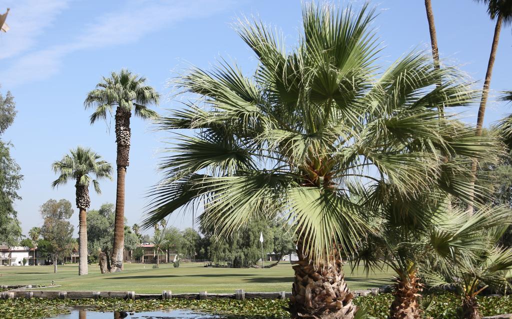 Barbara Worth Golf Resort Holtville Luaran gambar